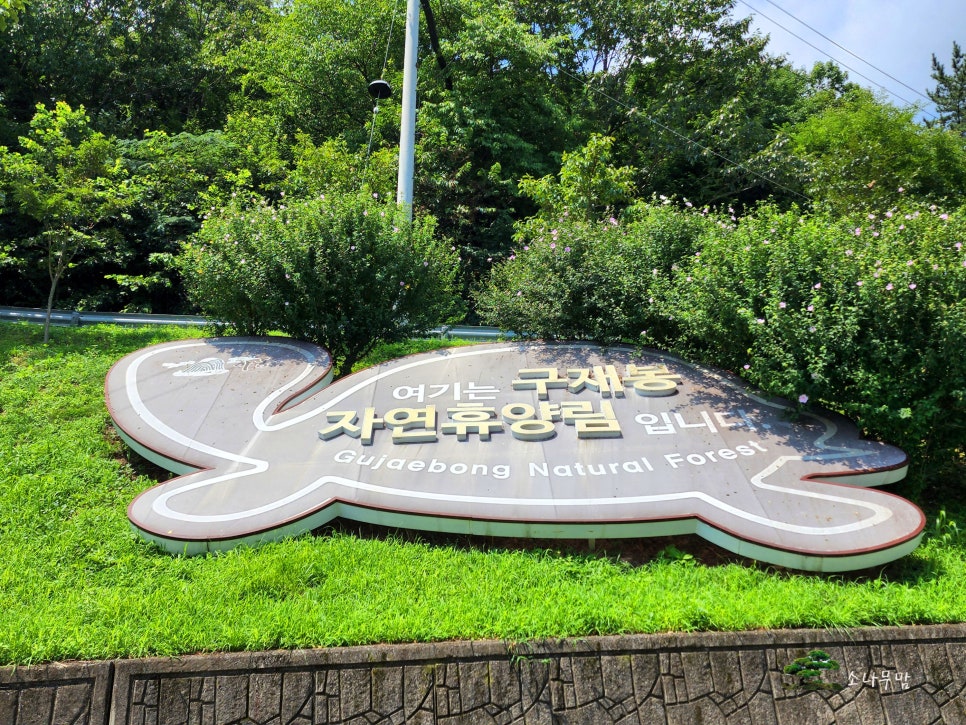 구재봉자연휴양림 이미지