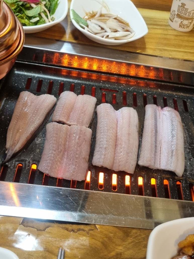 남강민물장어 이미지