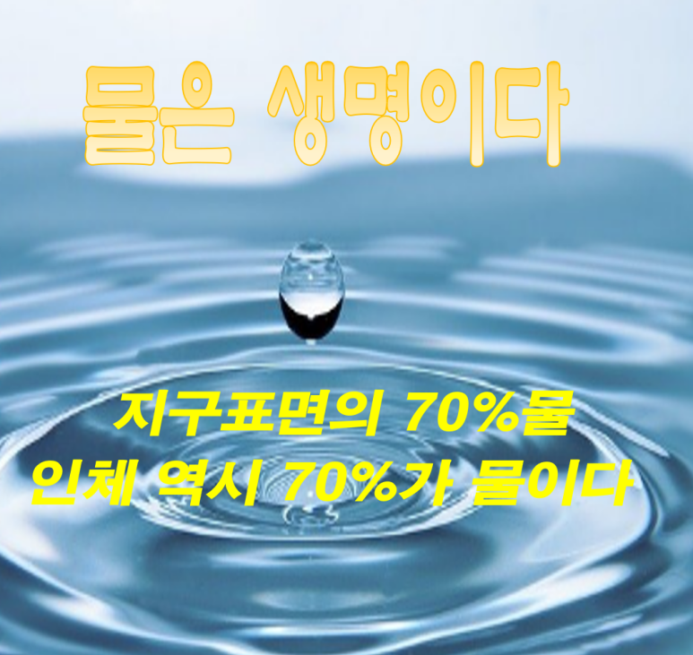 블루웰 이미지