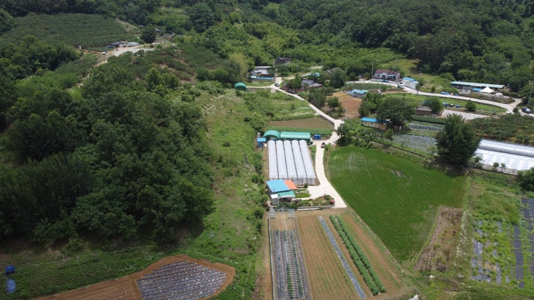 도천주유소 이미지