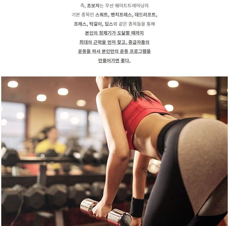 브로인제이 이미지