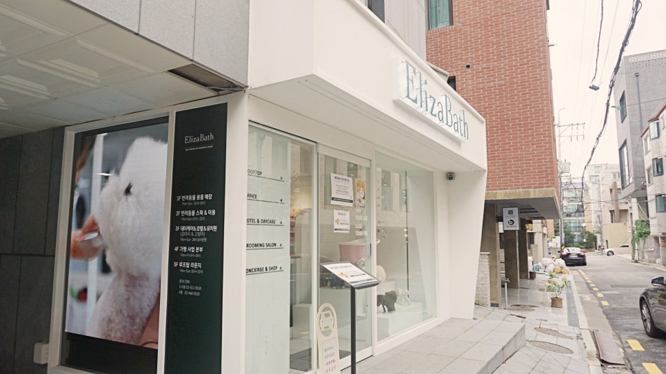 요크셔테리어 강남점 미용 후기: 엘리자바스 가위컷 추천 — 사진 3