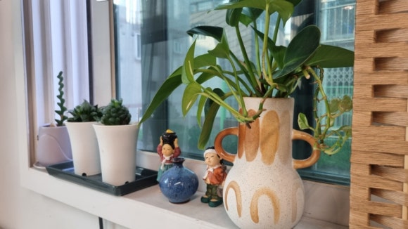 엔디미 이미지