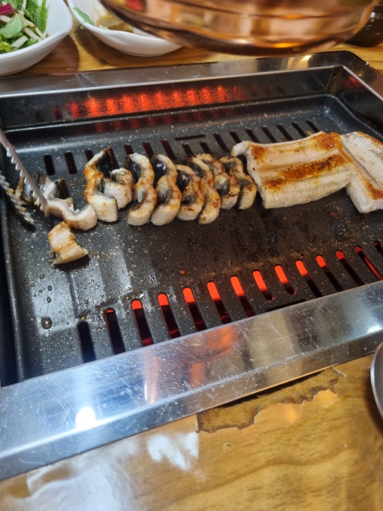 남강민물장어 이미지