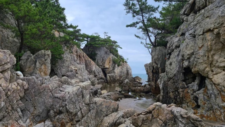 한국영화심리학회 이미지