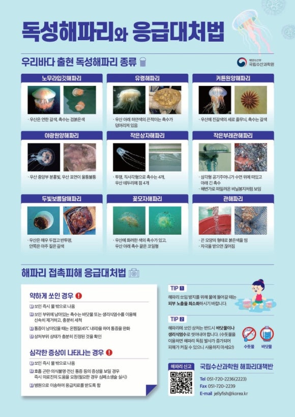 새마을서핑운동 이미지