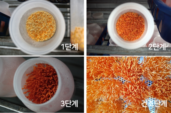 보강농산 이미지