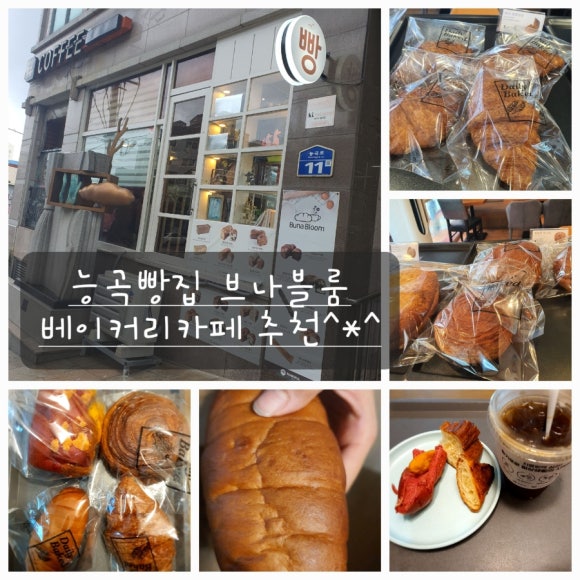 부나블룸 이미지