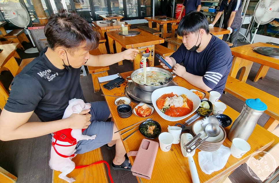 해남칼국수 이미지