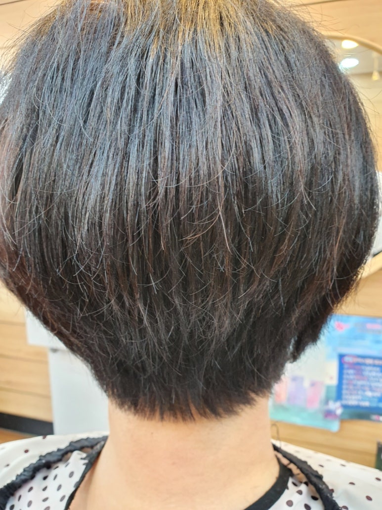 박정미헤어 이미지