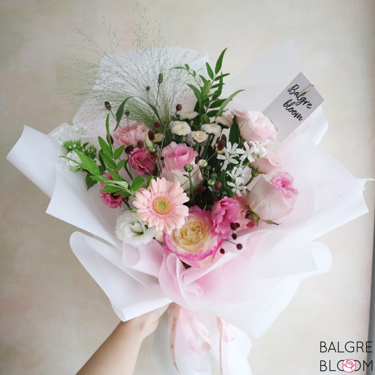 발그레블룸 이미지