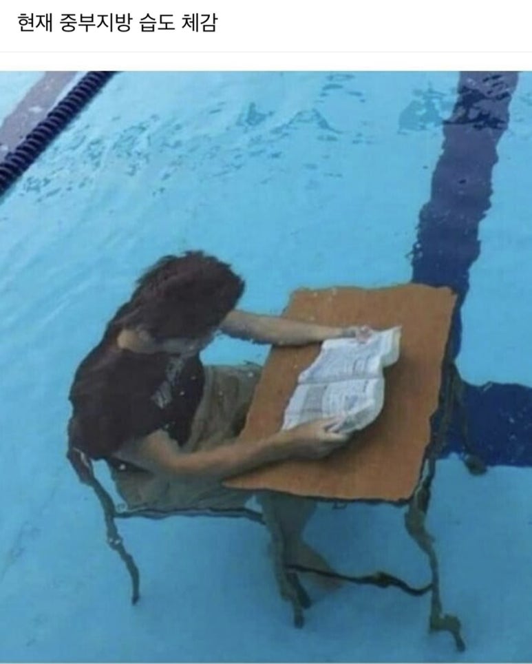 푸라닭충주호암점 이미지