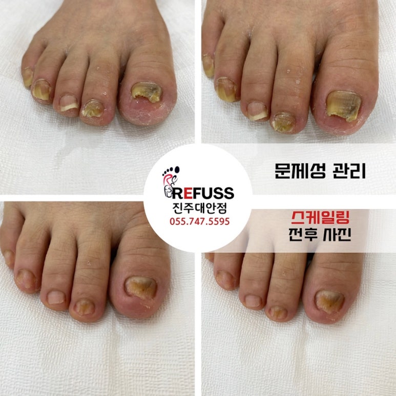 레푸스진주대안점 이미지