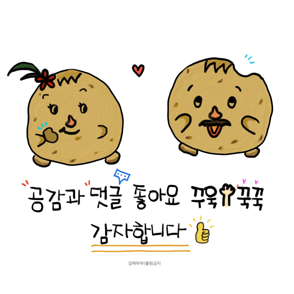 대천머드파라솔 이미지