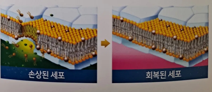주식회사 호체 이미지