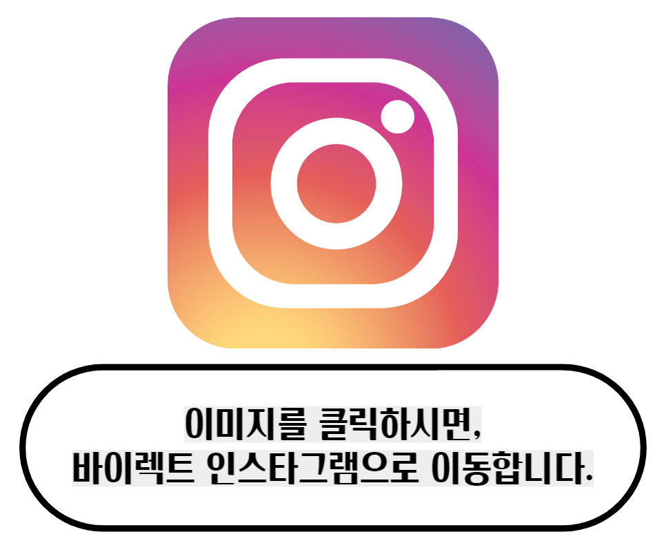 바이렉트 이미지