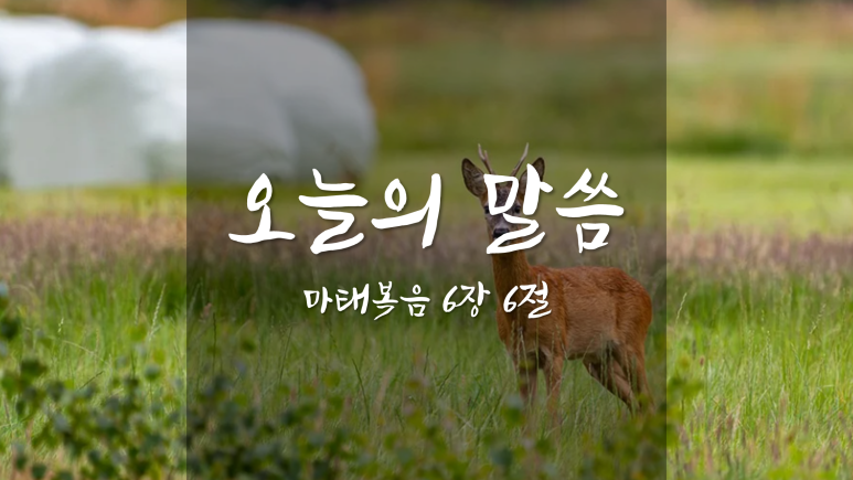 복음창고 이미지