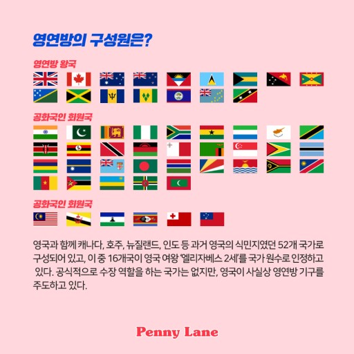 법인빈센트 이미지