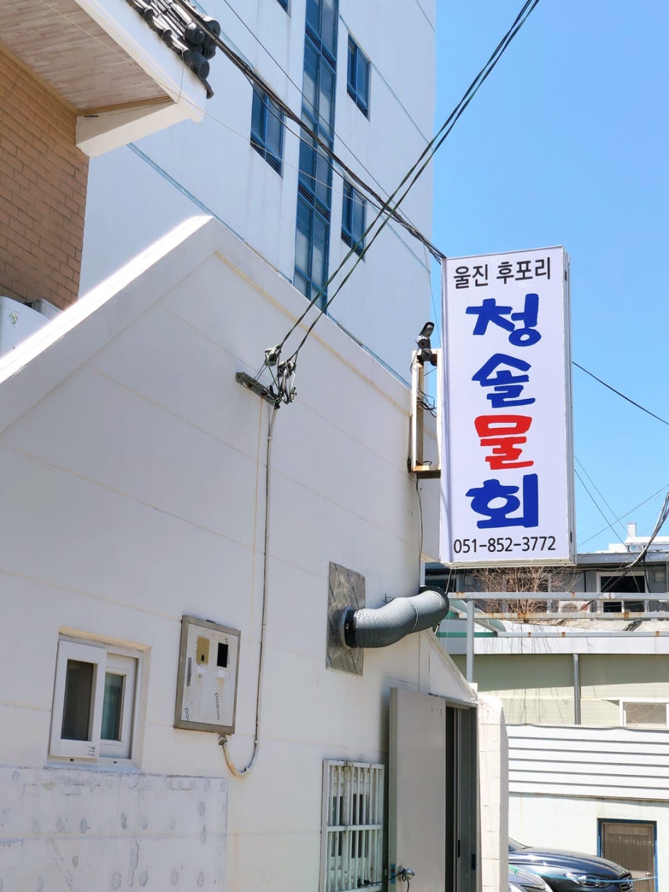 울진 후포리청솔물회 이미지