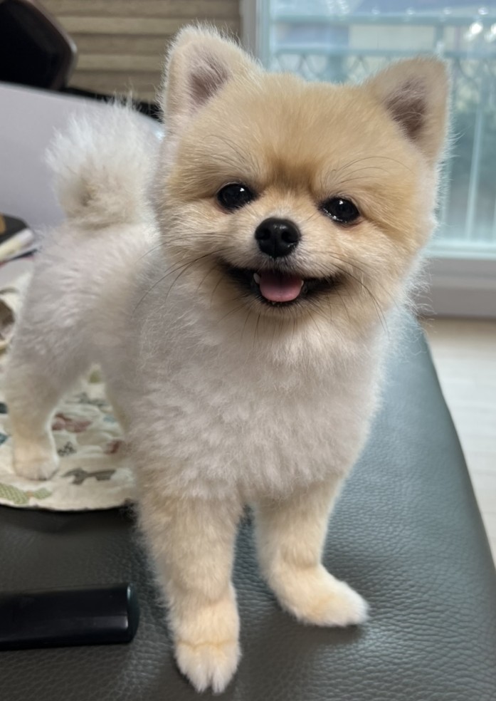 라이트앤쏠트 이미지