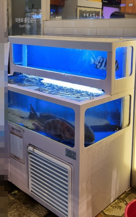 나레초밥거여 이미지