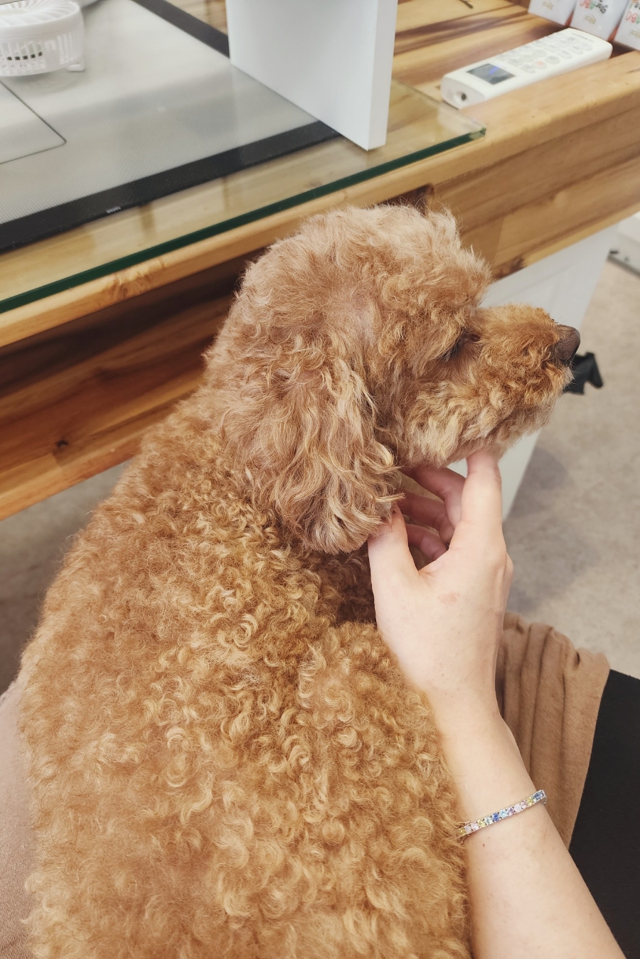규리네일 이미지