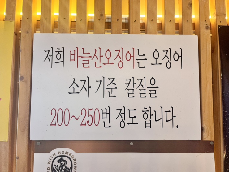 신가바늘산오징어 이미지