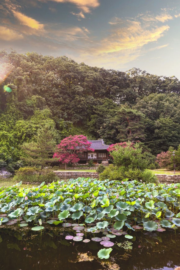 화목조경 이미지