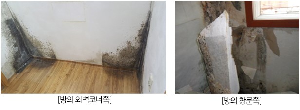 청ENG 이미지