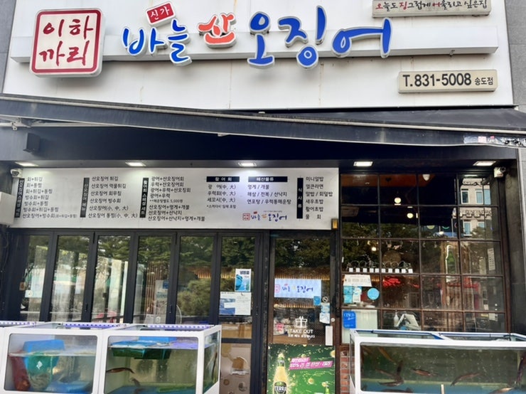 신가바늘산오징어 이미지