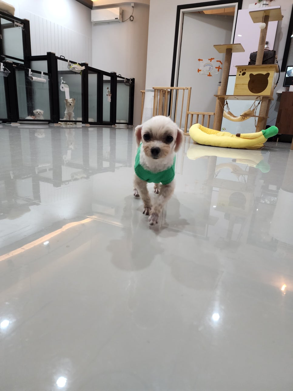 홍경숙신쭈꾸미 이미지