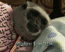 오산매운오뎅 이미지
