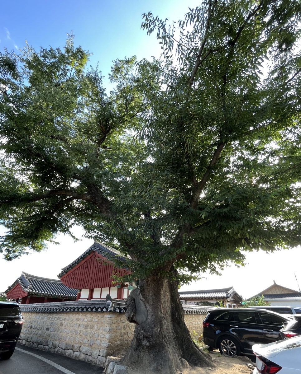 천년찰보리빵경주빵 이미지