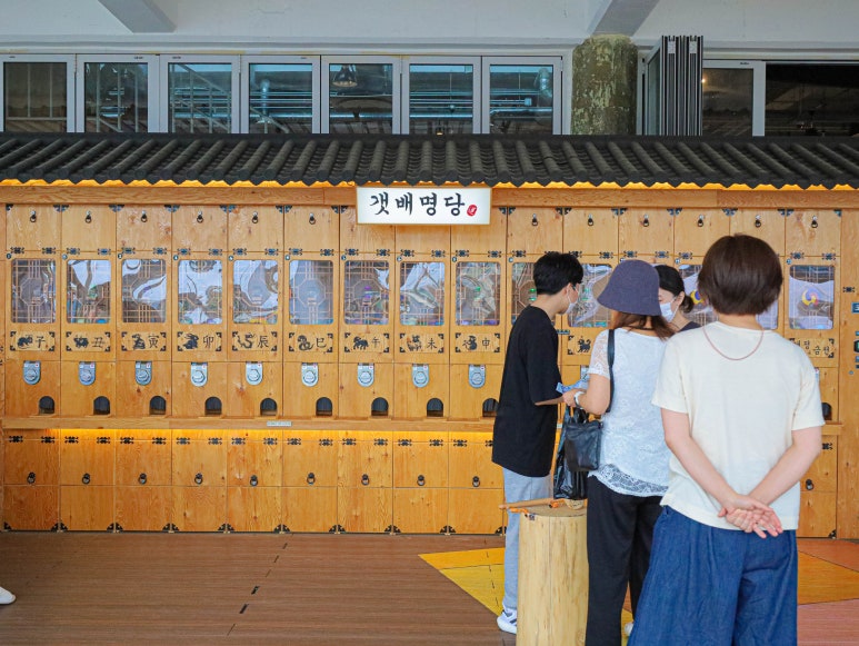 갯배명당 이미지