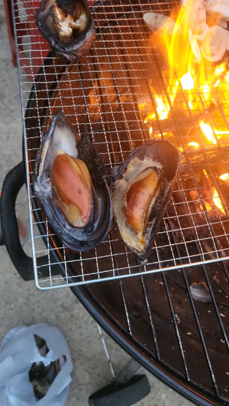쌍둥이네식당 이미지