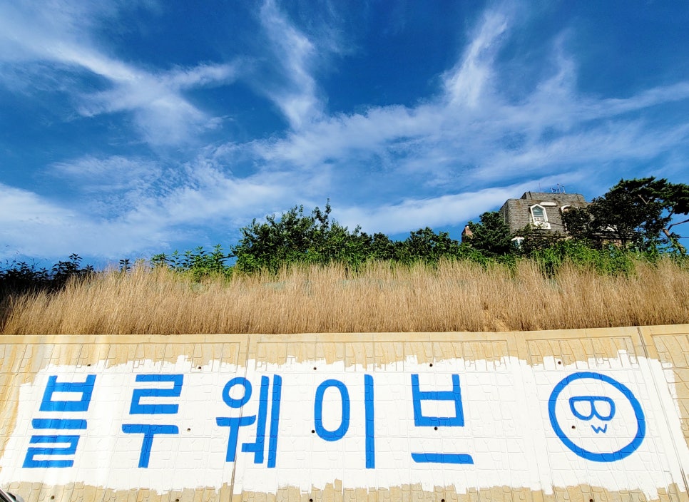 대천빵 이미지