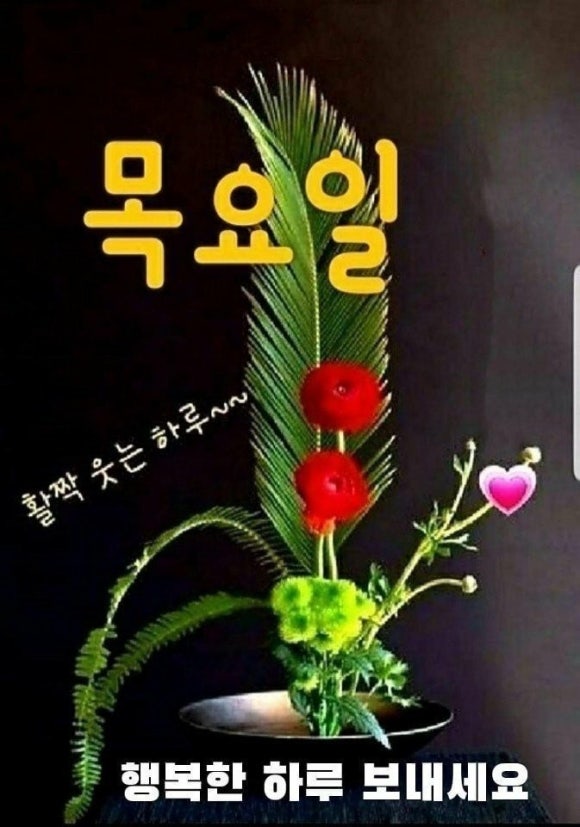 아들러부모교육연구소 이미지