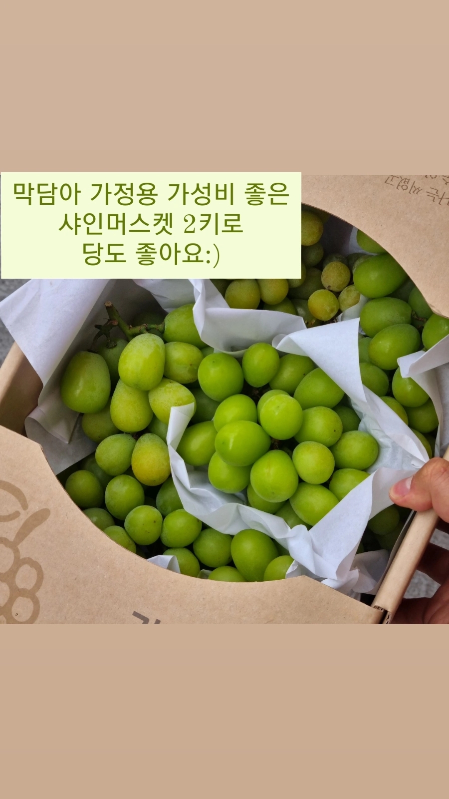 한아름청과 이미지