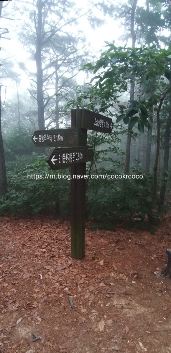 고성산 정상 전망대 이미지
