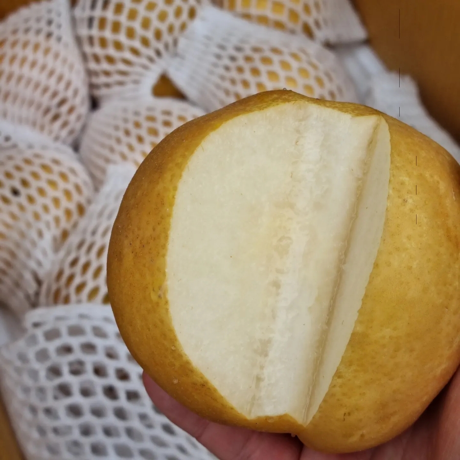 한아름청과 이미지