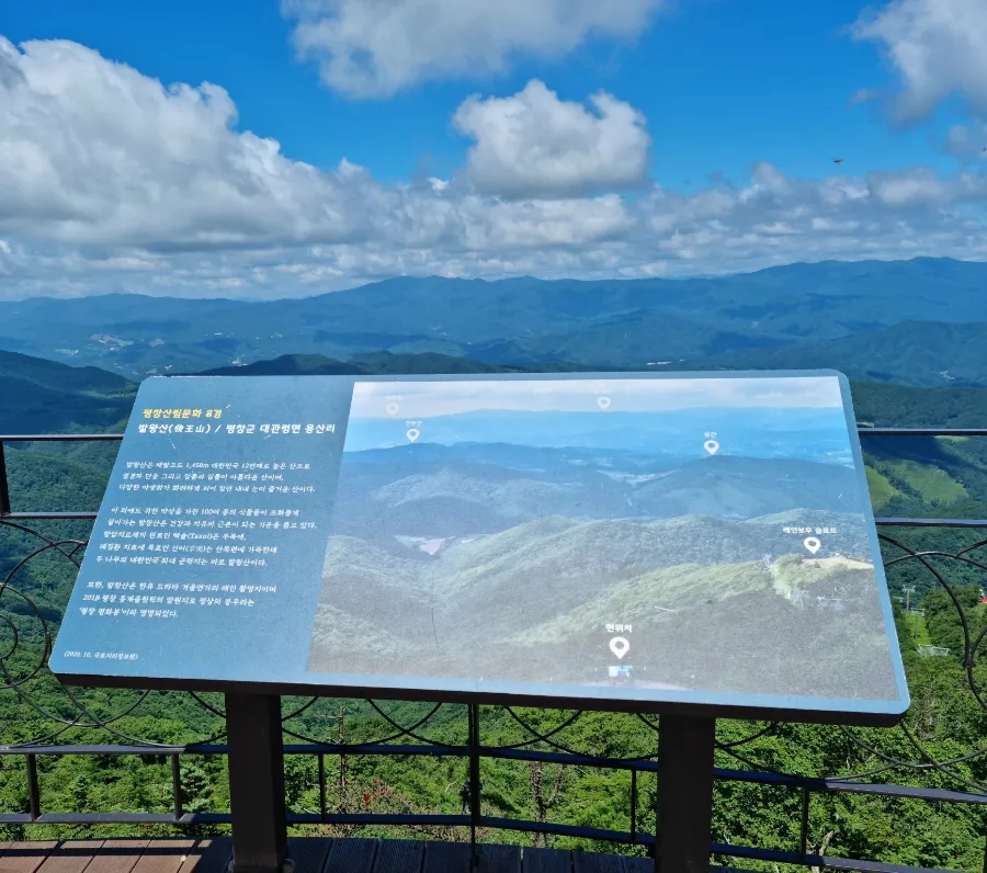 국수나무용평리조트점 이미지