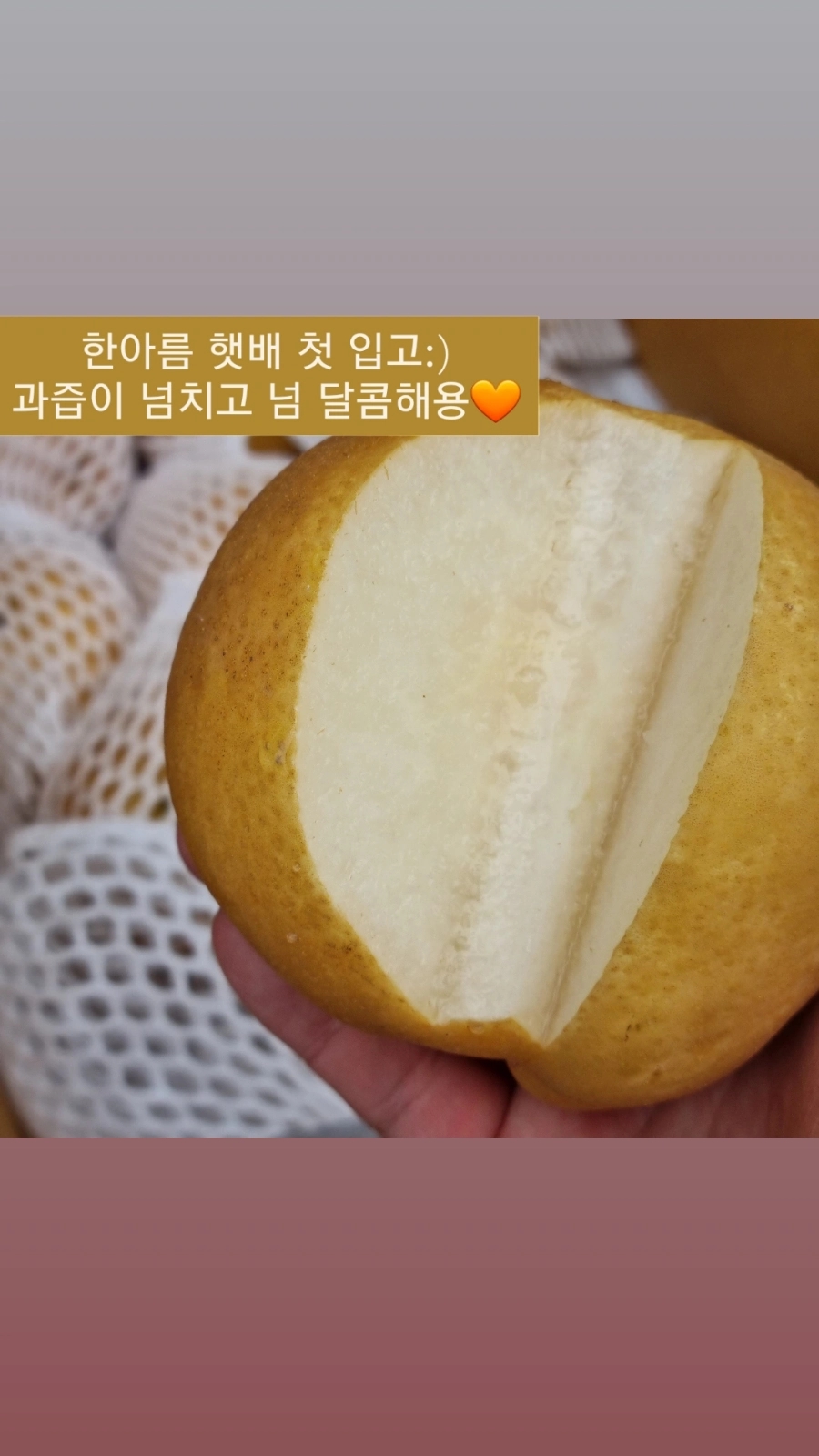 한아름청과 이미지