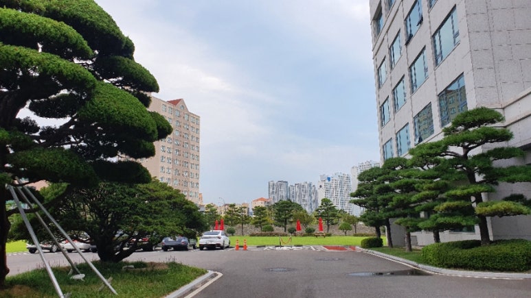 송일관 이미지