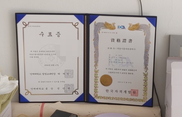 신기방기 우리황칠 이미지