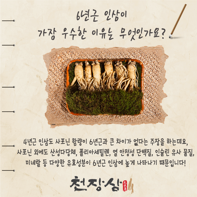 고려인삼쎈타 이미지