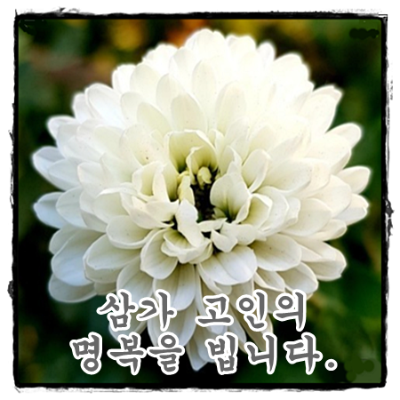강동경희대학교병원장례식장근조화환꽃집 이미지