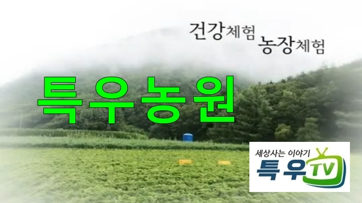 상옥프로폴리스 이미지