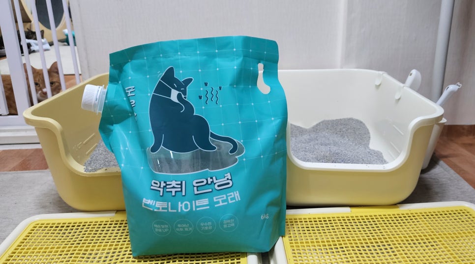프리포우 이미지