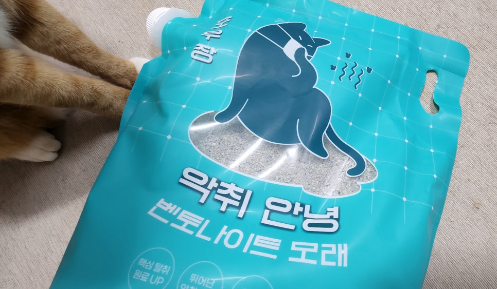 프리포우 이미지