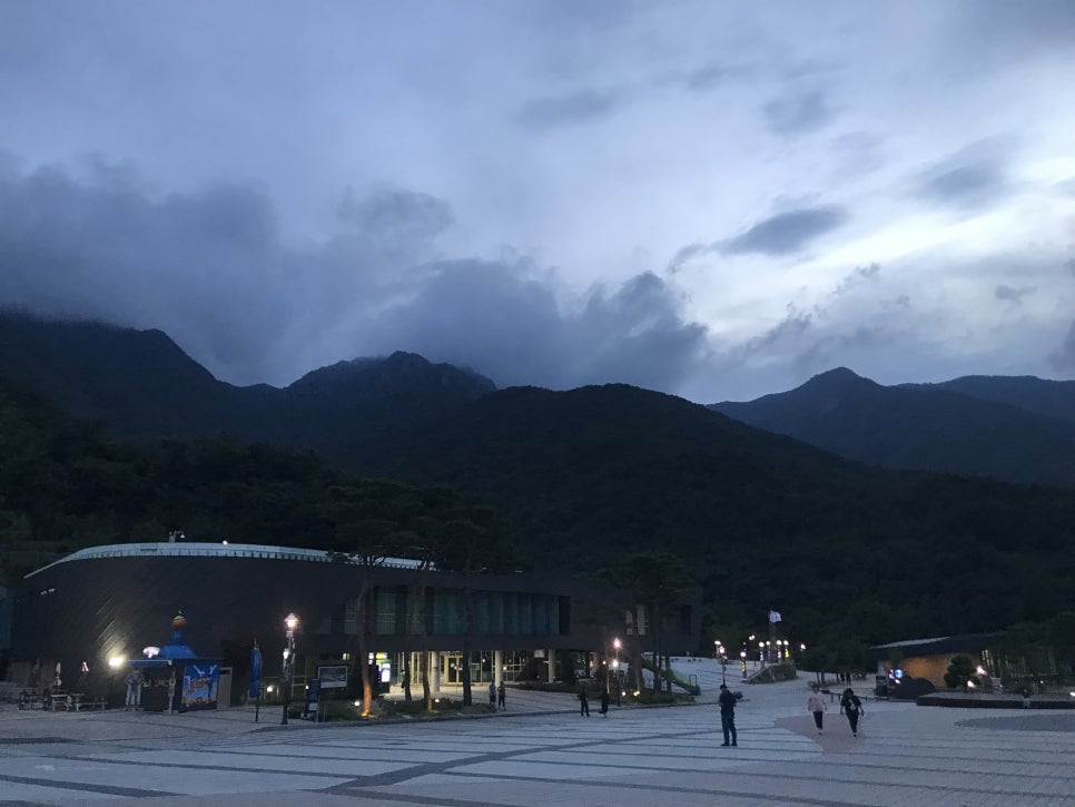 알프스시네마 1관 이미지
